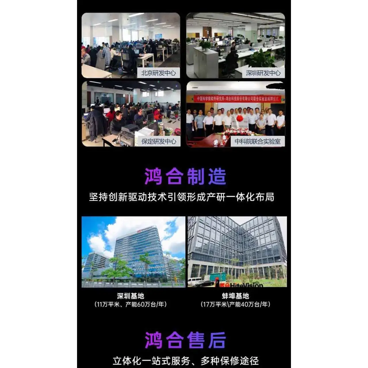 橡皮树黑金刚盆栽花盆苗客厅室内绿叶大叶四季常青型植物净化空气15公分高3棵不含盆